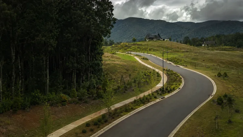 Concepto de camino urbanizado con veredas y áreas verdes entre bosques